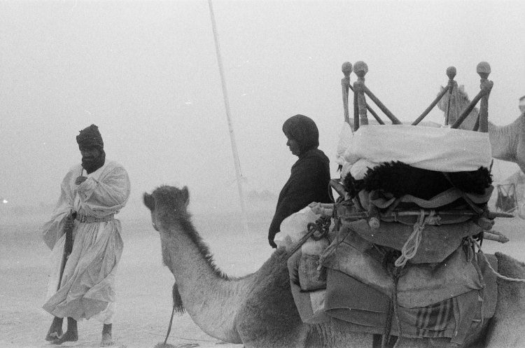 camel in sandstorm with man and woman western sahara 1986