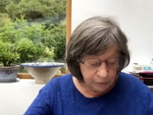 laura mulvey reading zoom book launch