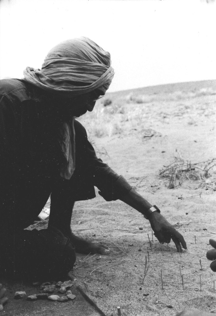 member of polisario playing game with sticks and stones in sahara desert north africa