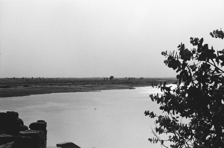 river chari landscape in chad africa