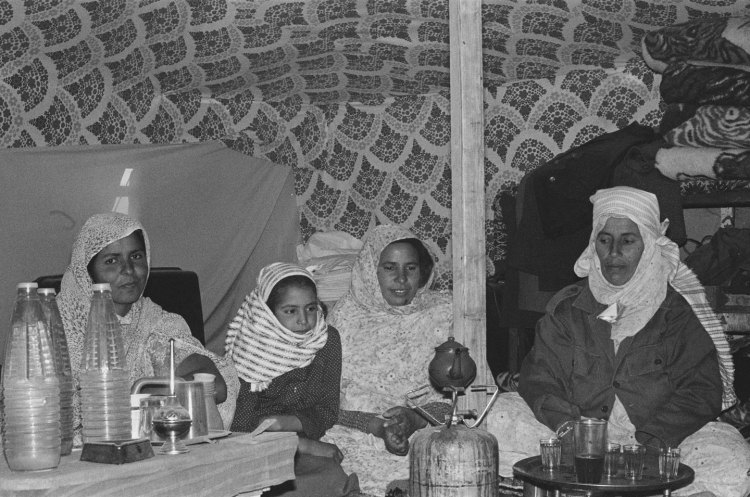 three women and girl making tea in tent with patterned fabric behind western sahara